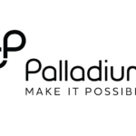 Palladium Vacancies