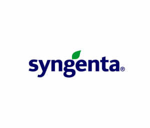 Syngenta Jobs