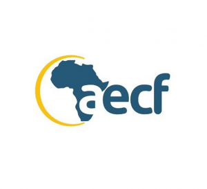 Africa Enterprise Challenge Fund Careers