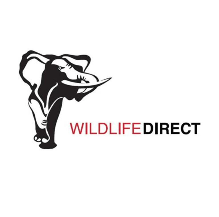 WildlifeDirect Vacancies