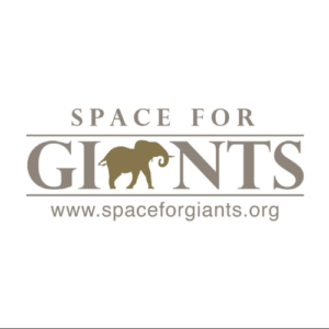 Space for Giants Careers