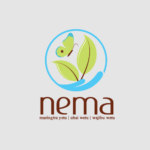 National Environment Management Authority (NEMA)