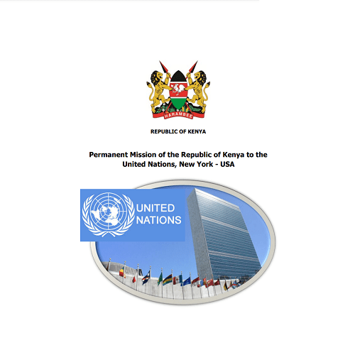 2024 Internship Programme at The Permanent Mission of Kenya to the