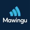 Mawingu Networks Jobs