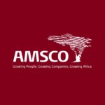 AMSCO Development Solutions