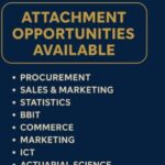 Profile photo of Vivian Odidi